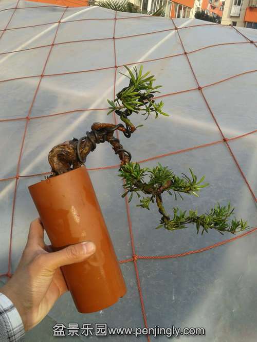 2013-12-08 14.13.38.jpg