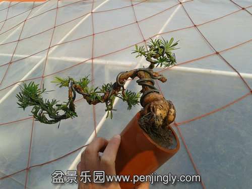 2013-12-08 14.14.49.jpg