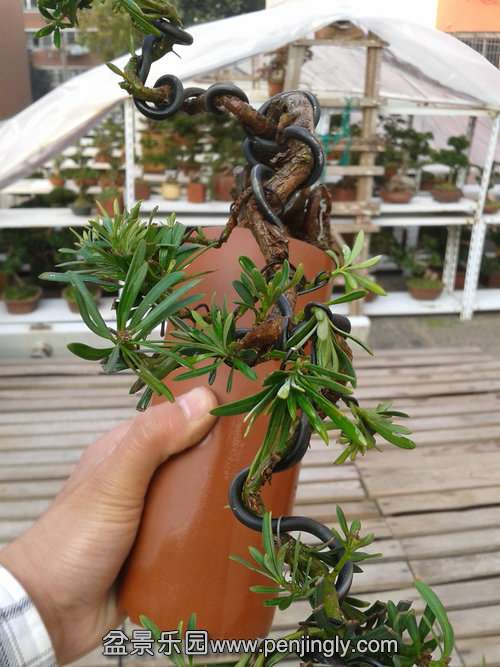 2013-12-08 14.16.30.jpg