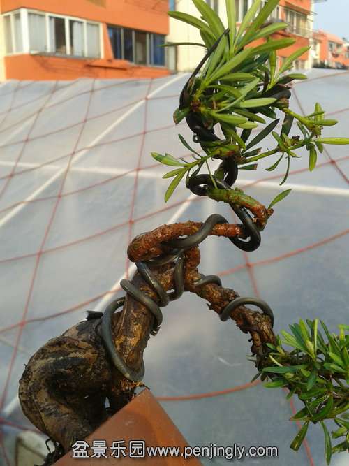 2013-12-08 14.20.04.jpg