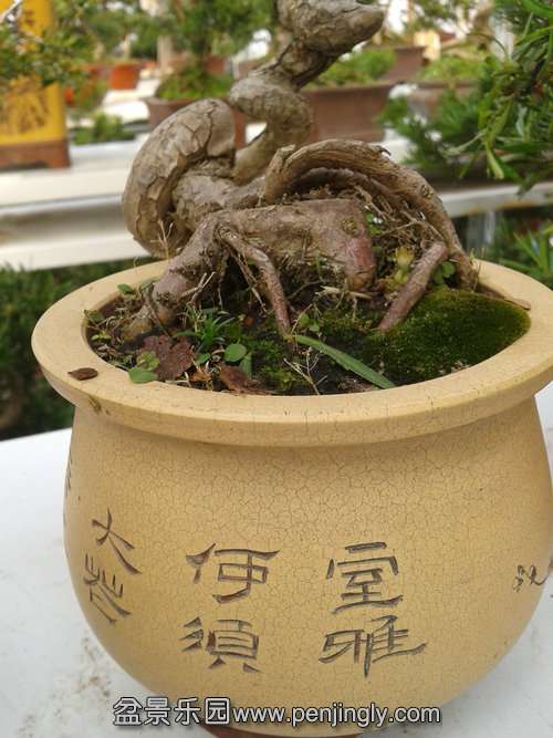 2013-12-08 14.31.56.jpg