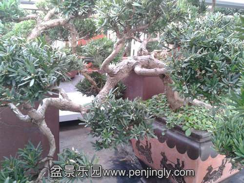 2013-12-08 14.34.06.jpg