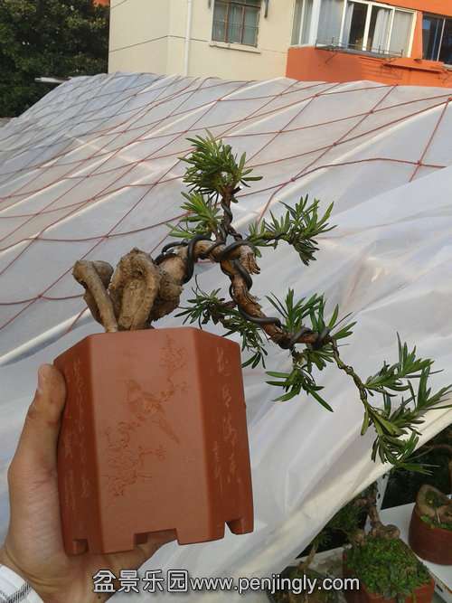 2013-12-08 14.38.03.jpg