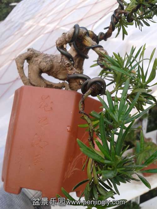 2013-12-08 14.38.30.jpg