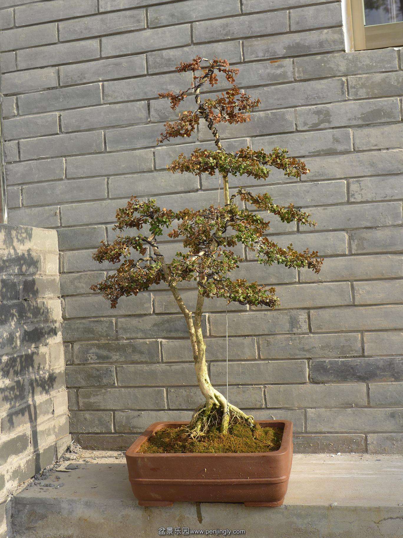 P1010816.JPG