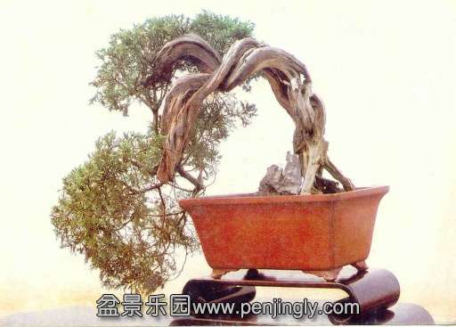 penjing300.jpg