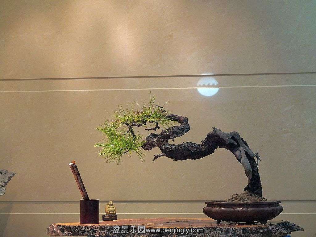 DSCF2904.jpg