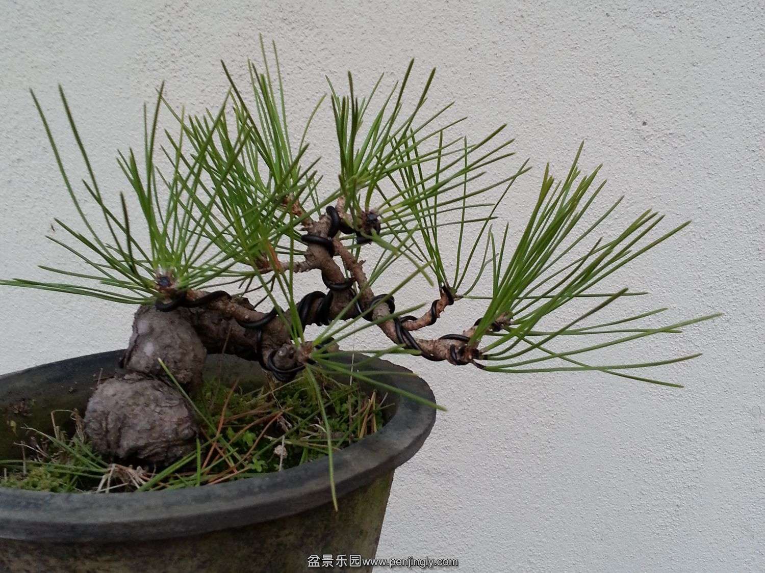 20131211_071338.jpg