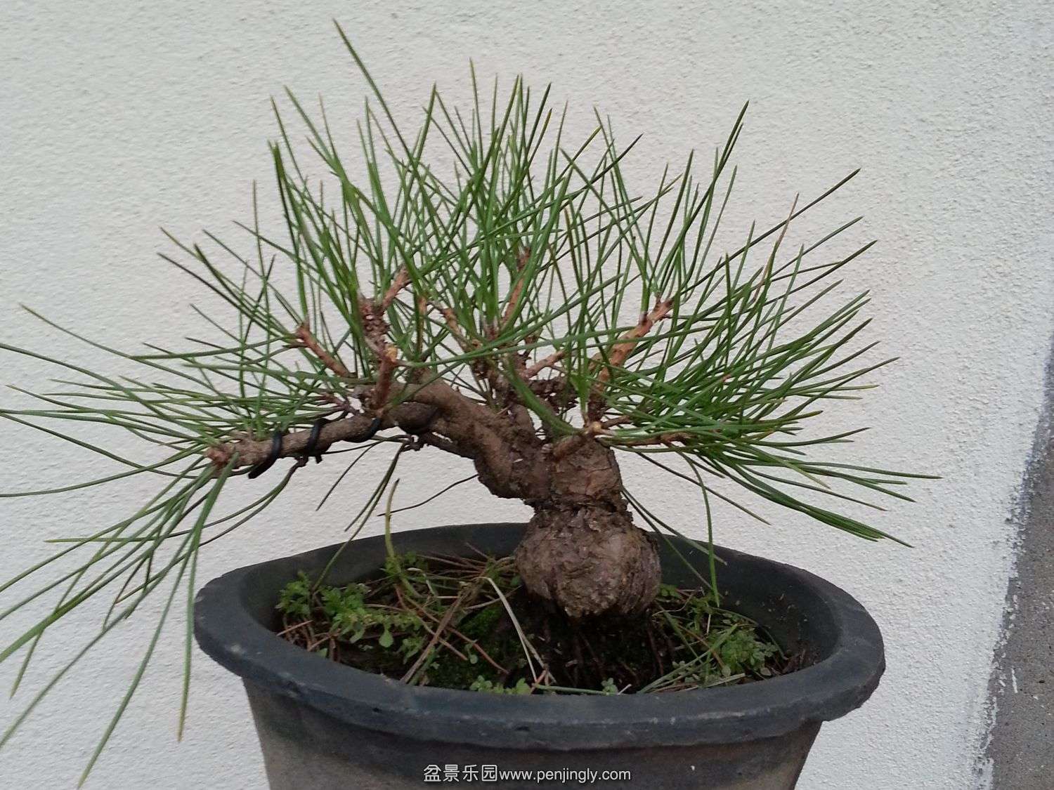 20131211_071417.jpg