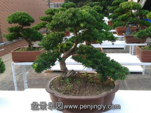 2013-07-25 17.30.22.jpg