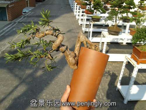 2013-11-19 13.22.54.jpg