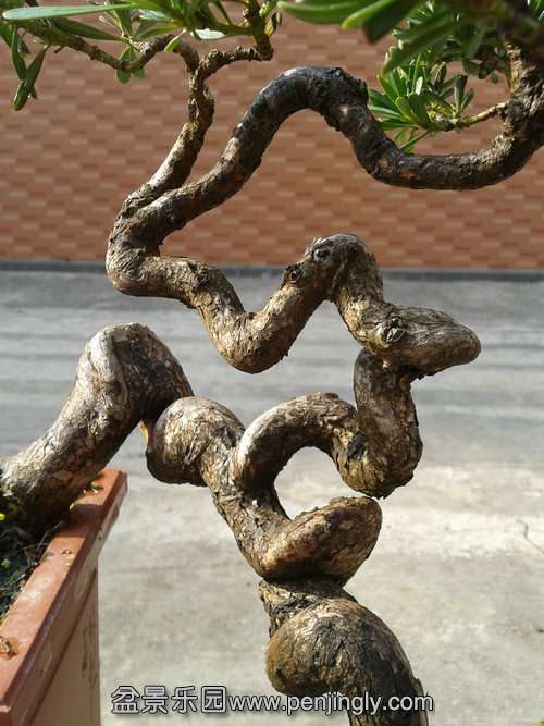 2013-12-12 13.02.15.jpg