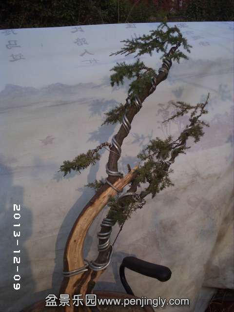 PHOT0304.JPG