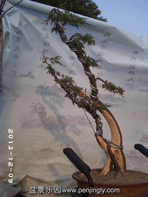 PHOT0306.JPG
