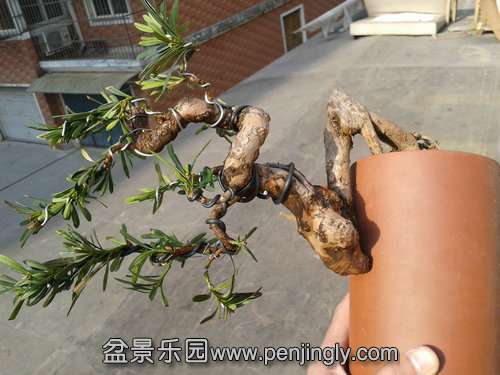 2013-12-12 13.06.15.jpg