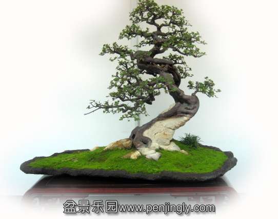 201092514344924.jpg