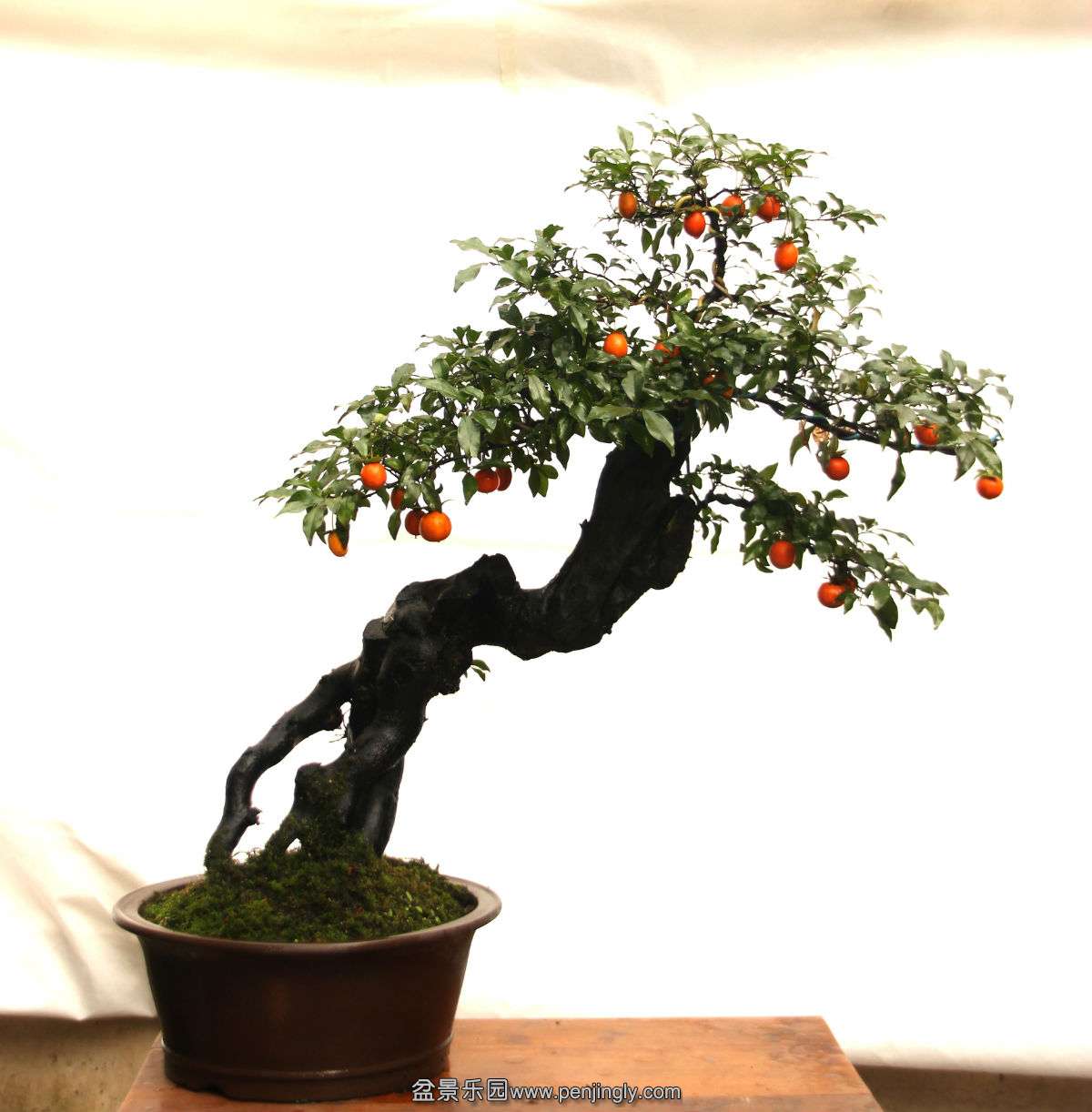 201215103316506.jpg