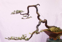20111129094341333_6959.jpg