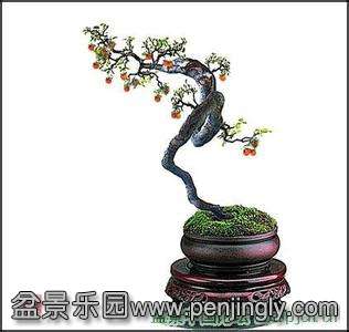 u=2888567099,575732763&amp;fm=23&amp;gp=0.jpg