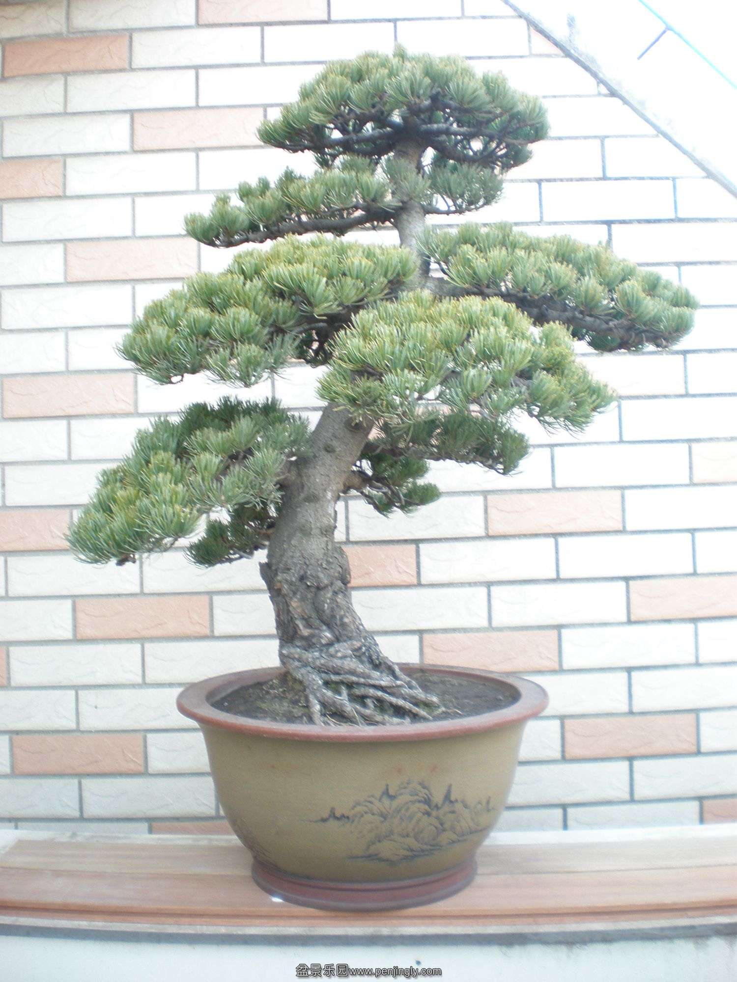P1010055_.jpg