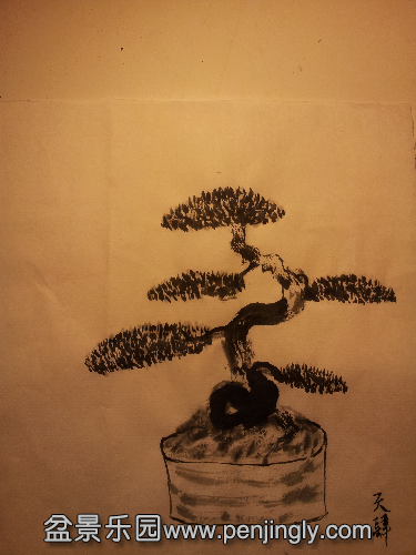 20131211_191047.jpg