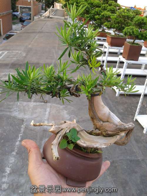  2013-09-19 17.02.34.jpg