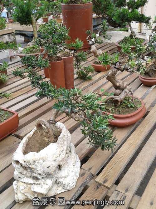2013-10-22 14.04.38.jpg