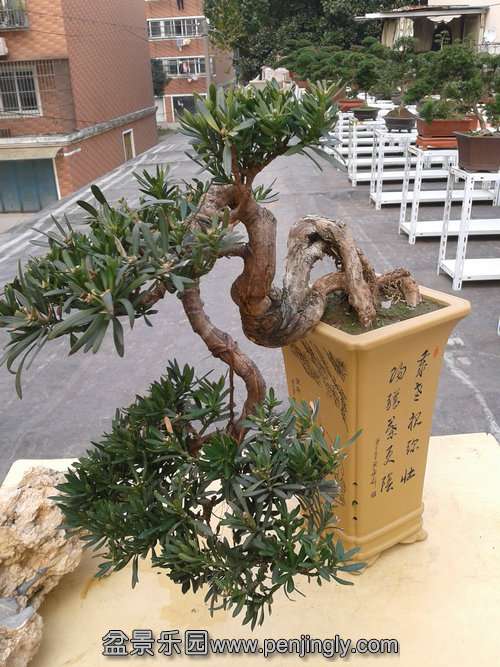 2013-11-21 14.19.47.jpg