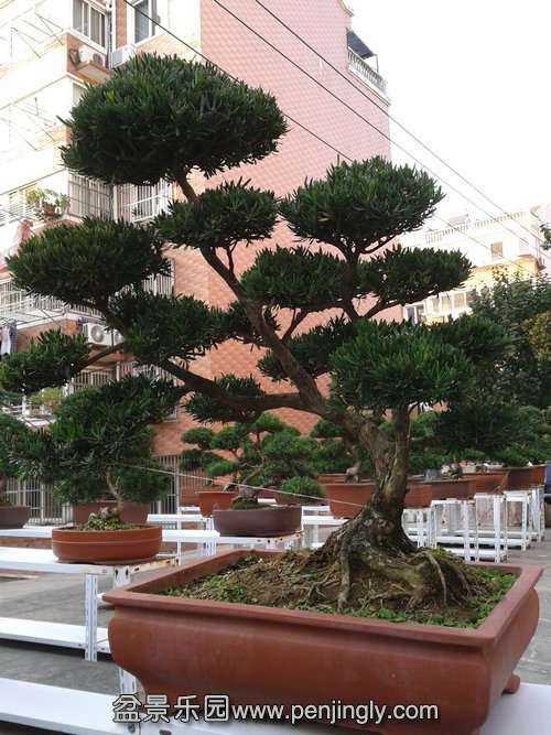 2013-10-27 16.03.37.jpg