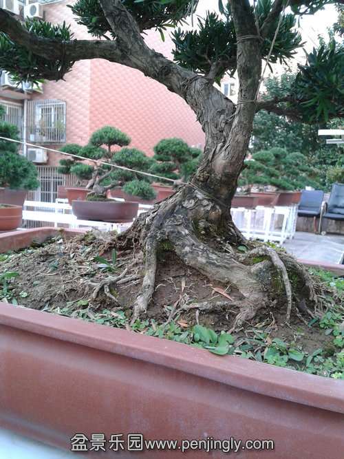 2013-10-27 16.03.53.jpg