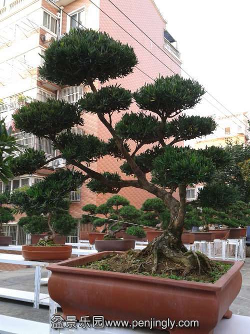 2013-10-27 16.04.05.jpg