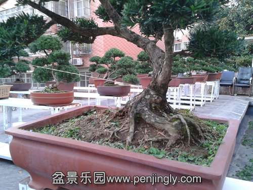 2013-10-27 16.04.32.jpg