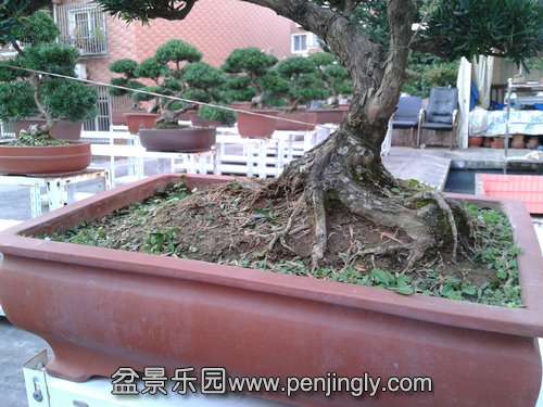 2013-10-27 16.03.16.jpg