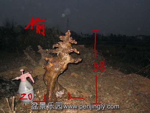 IMG_6717_.jpg