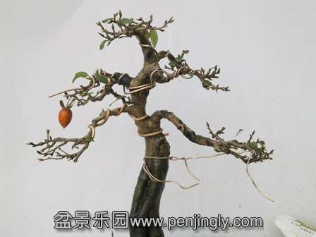 201312141788.jpg