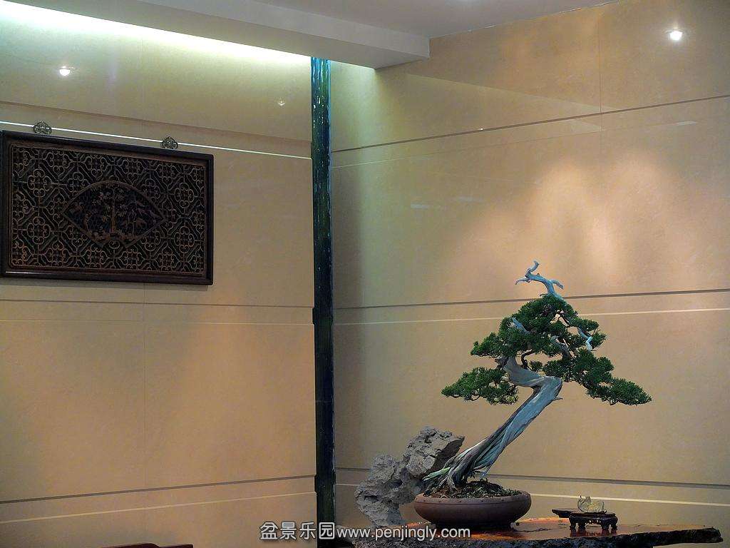 ԭ��ϵ�㴨 ��Ʒ (2).jpg