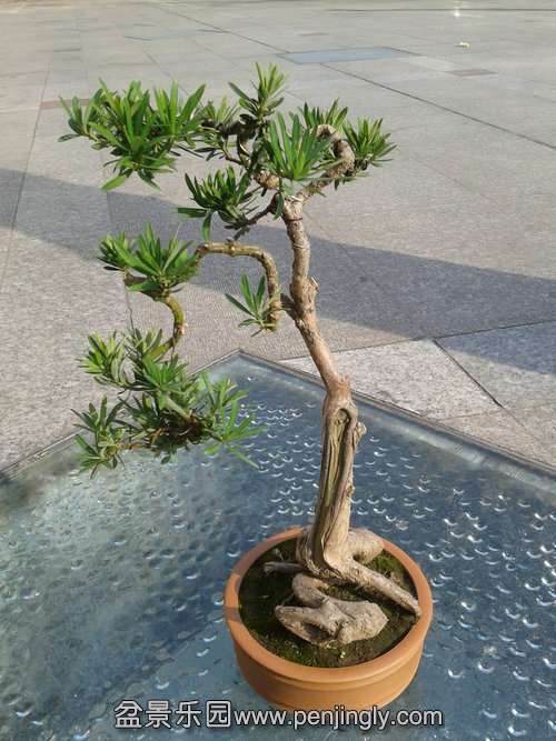 2013-12-11 13.34.35.jpg