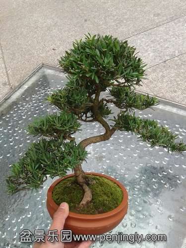 2013-12-15 12.26.19.jpg