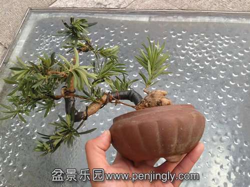 2013-12-15 12.14.44.jpg