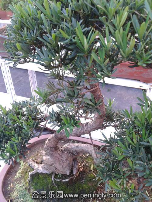 2013-10-13 15.30.34.jpg