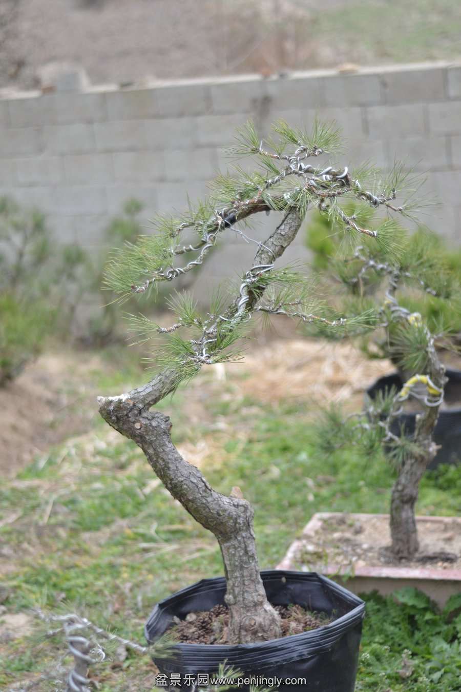 13-12-06СƷ�� 063.jpg