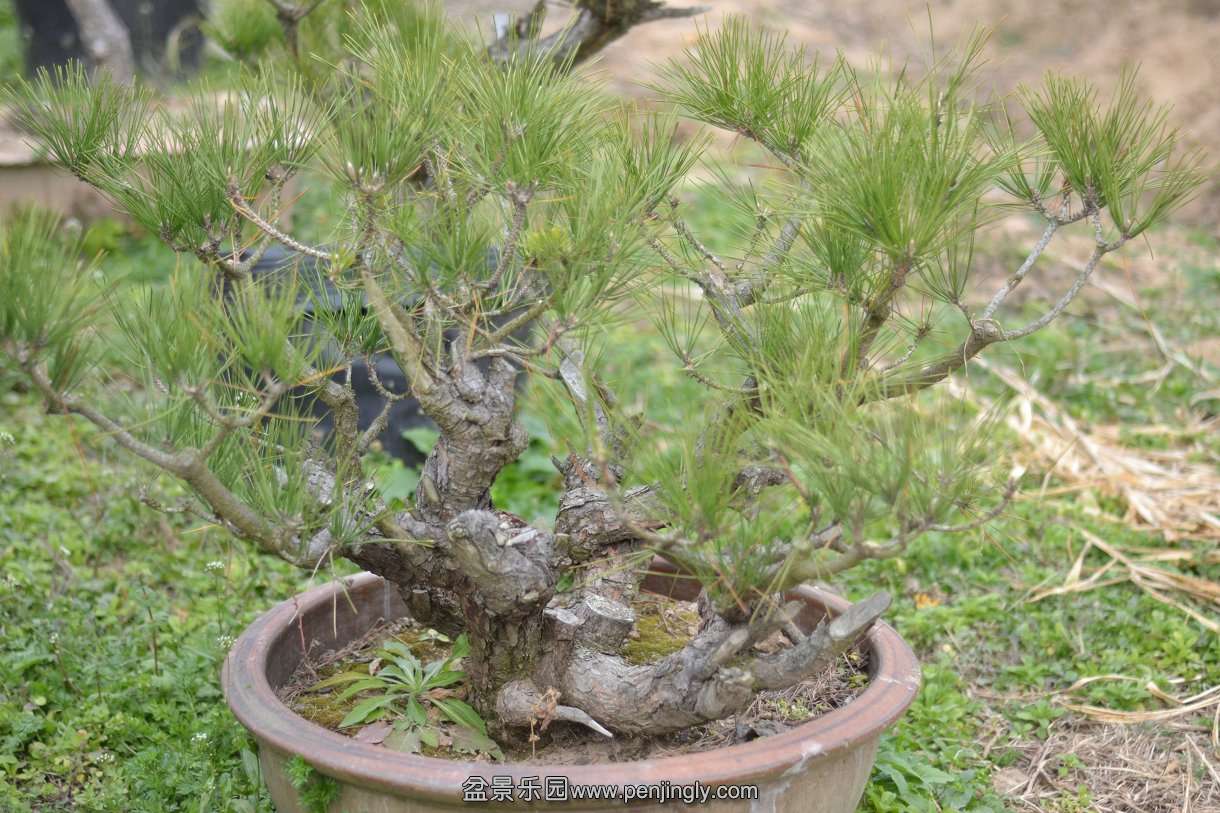 13-12-06СƷ�� 067.jpg