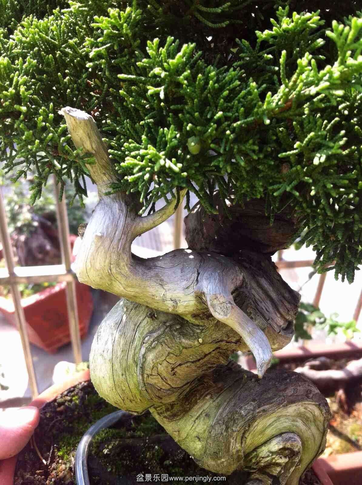 image.jpg