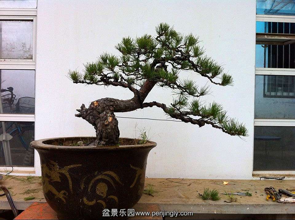 QQͼƬ20131218215437_.jpg