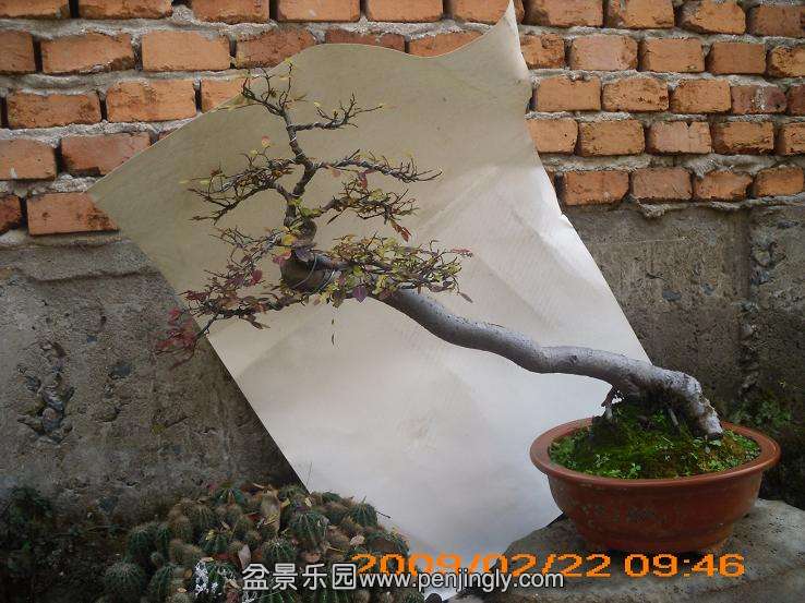 DSCI0946.JPG