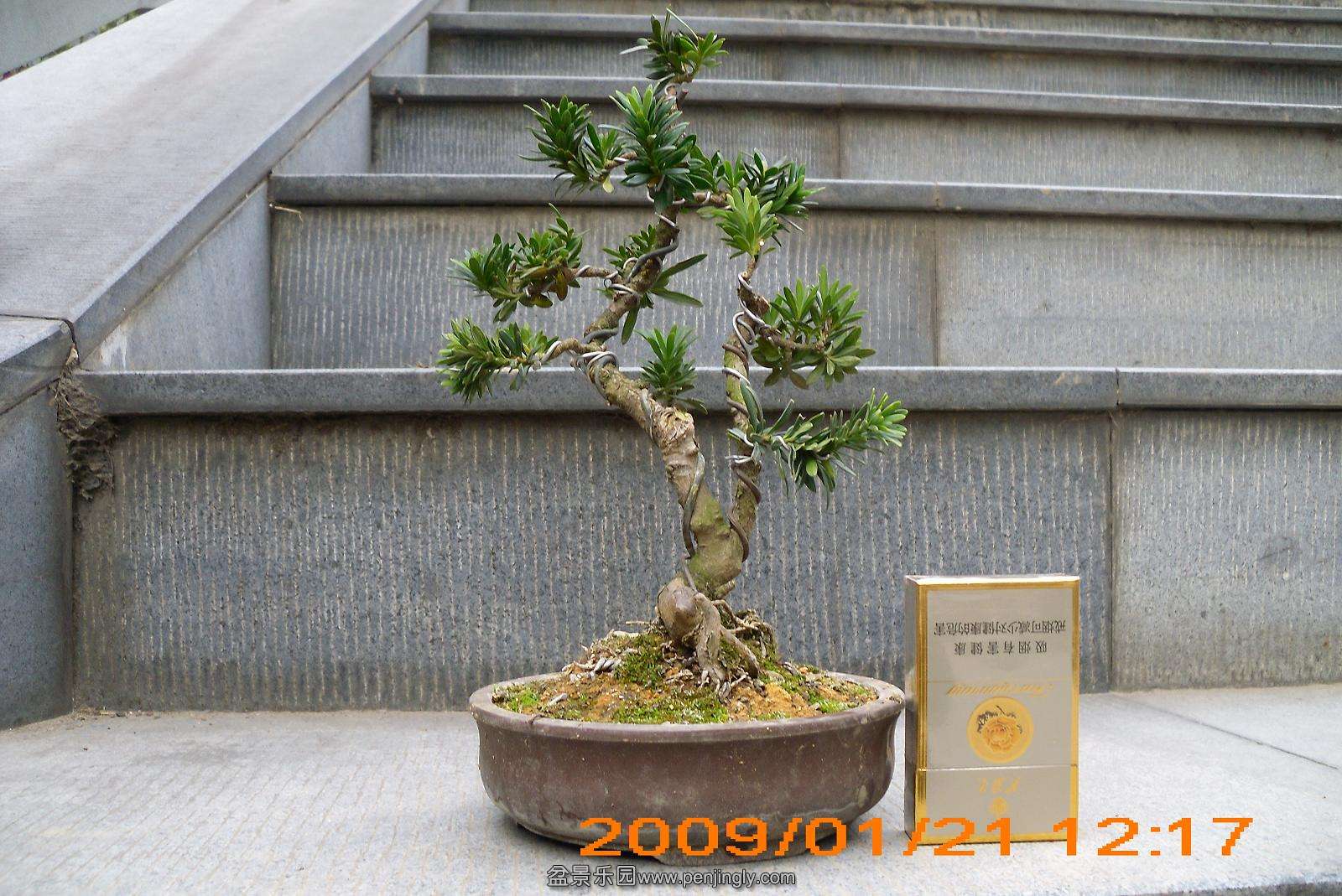 DSCI0892.JPG