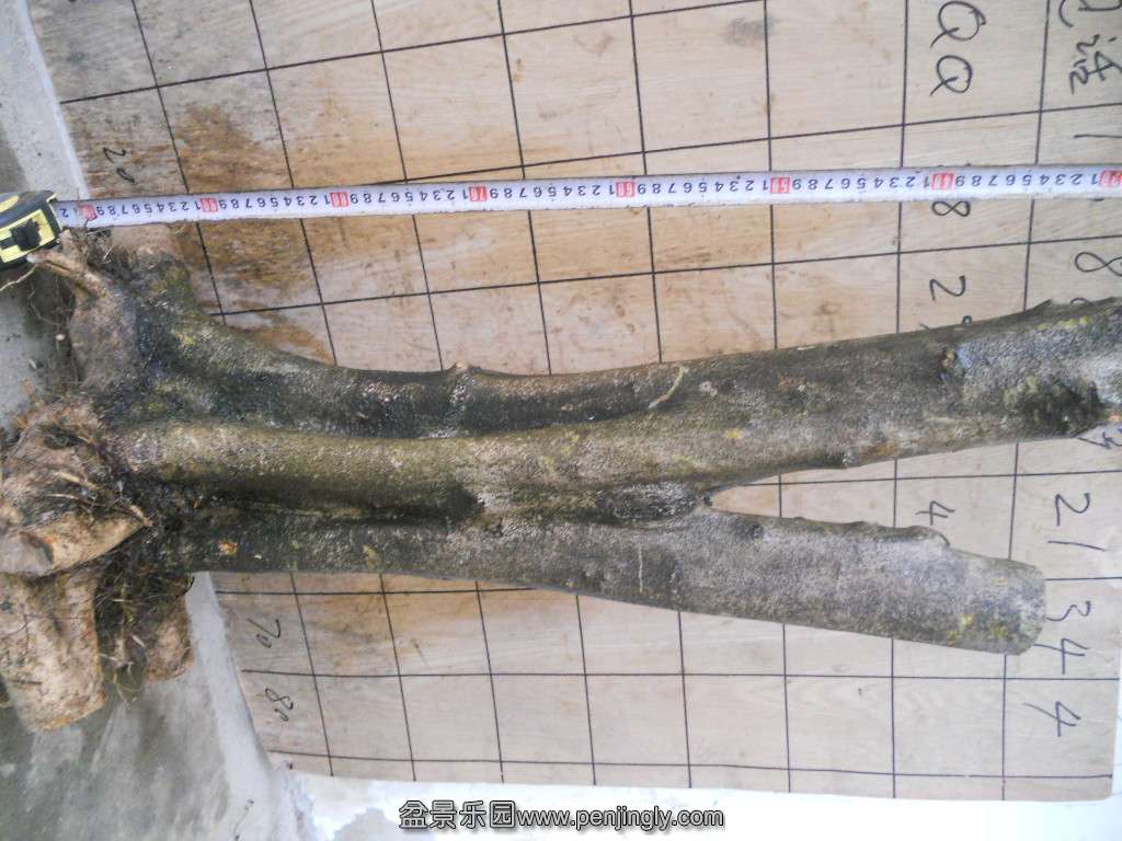 DSCN5967.JPG