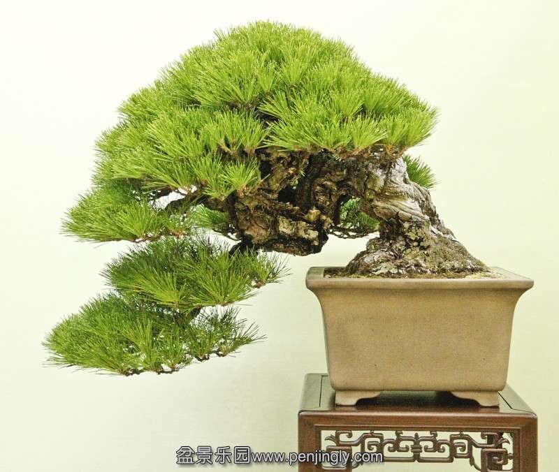 conew_mg_7628.jpg