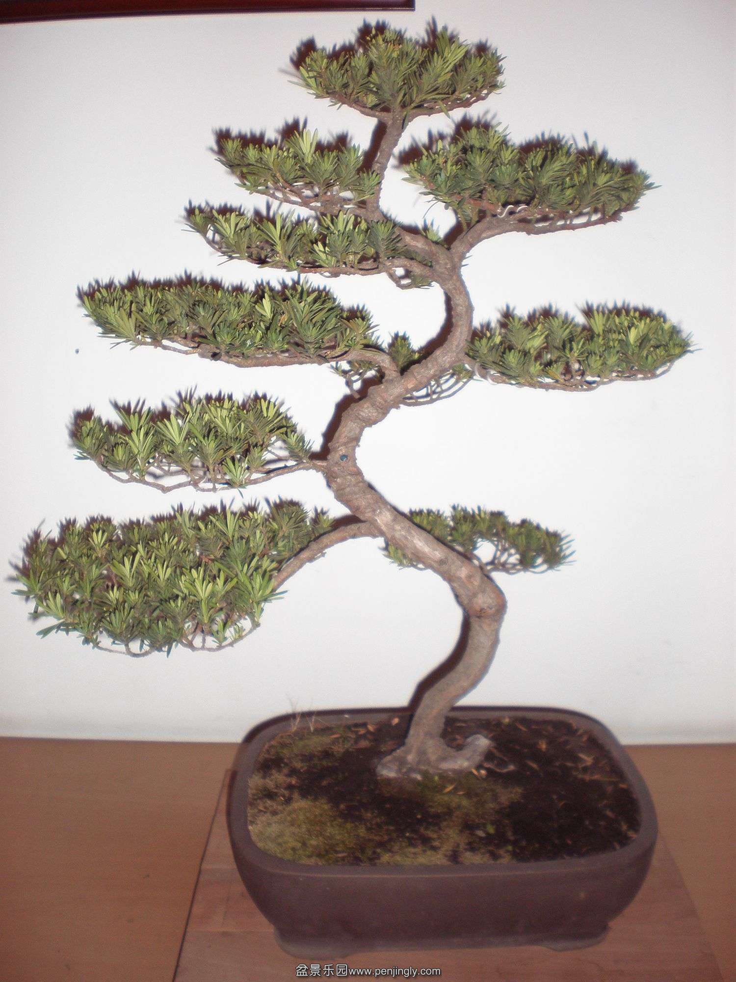 P1010064_.jpg