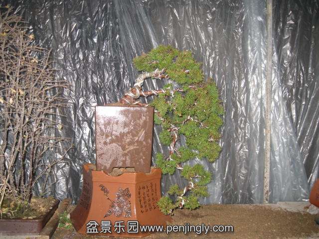 IMG_4753.JPG